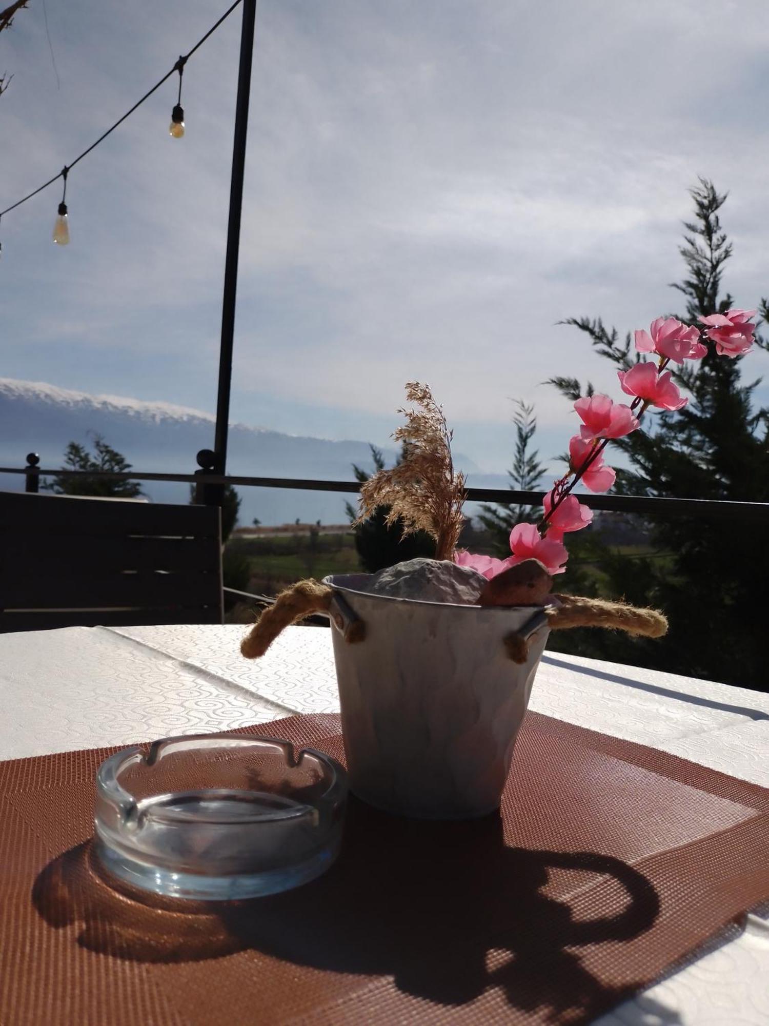Hotel Villa Stone Dream Bar Restaurant Udenisht Εξωτερικό φωτογραφία